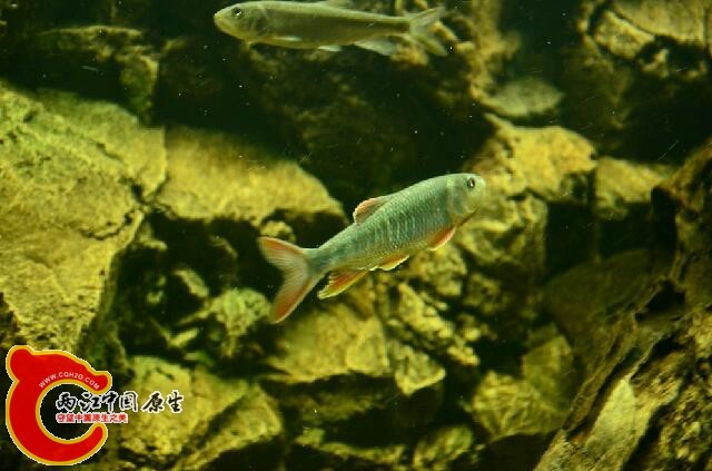 DSC_6568.JPG