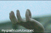 u=733680155,2711225513&amp;fm=21&amp;gp=0.jpg
