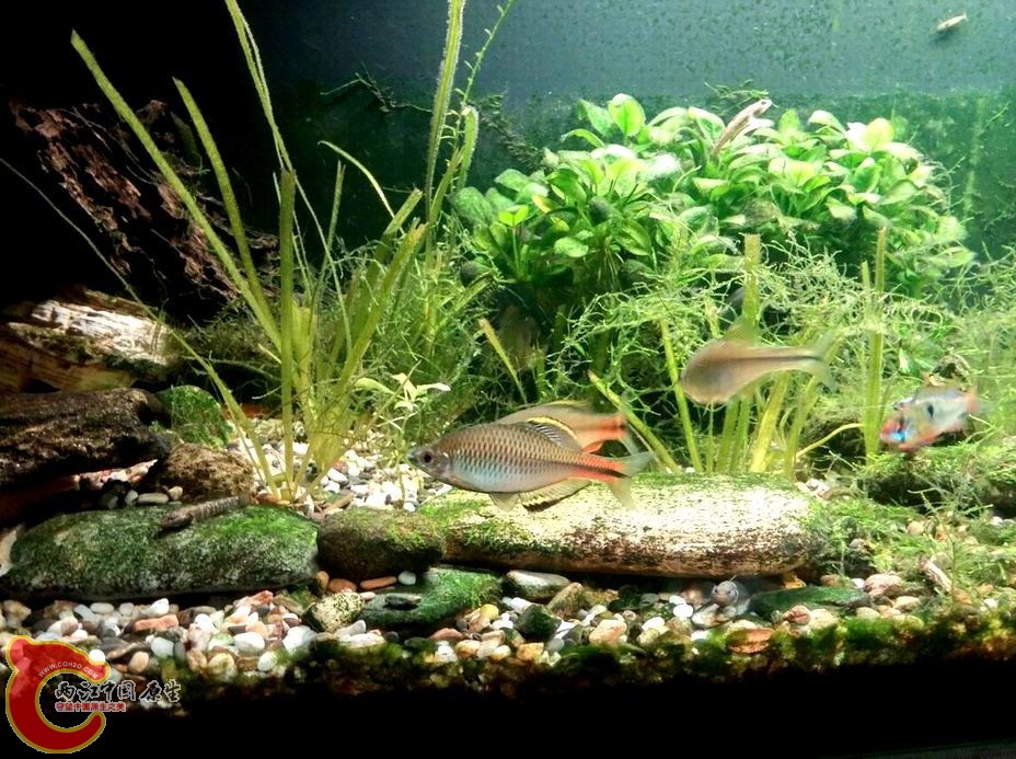 重新曝光 002.jpg