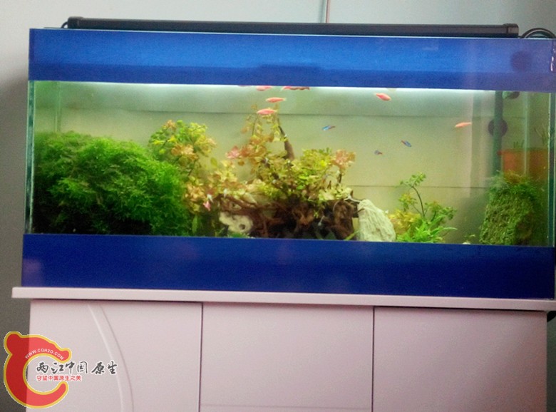 qianquan.jpg
