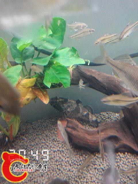 2015_01_20_20_49_05.jpg