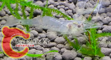 QQ图片20150123142745.png