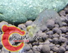 QQ图片20150123142748.png