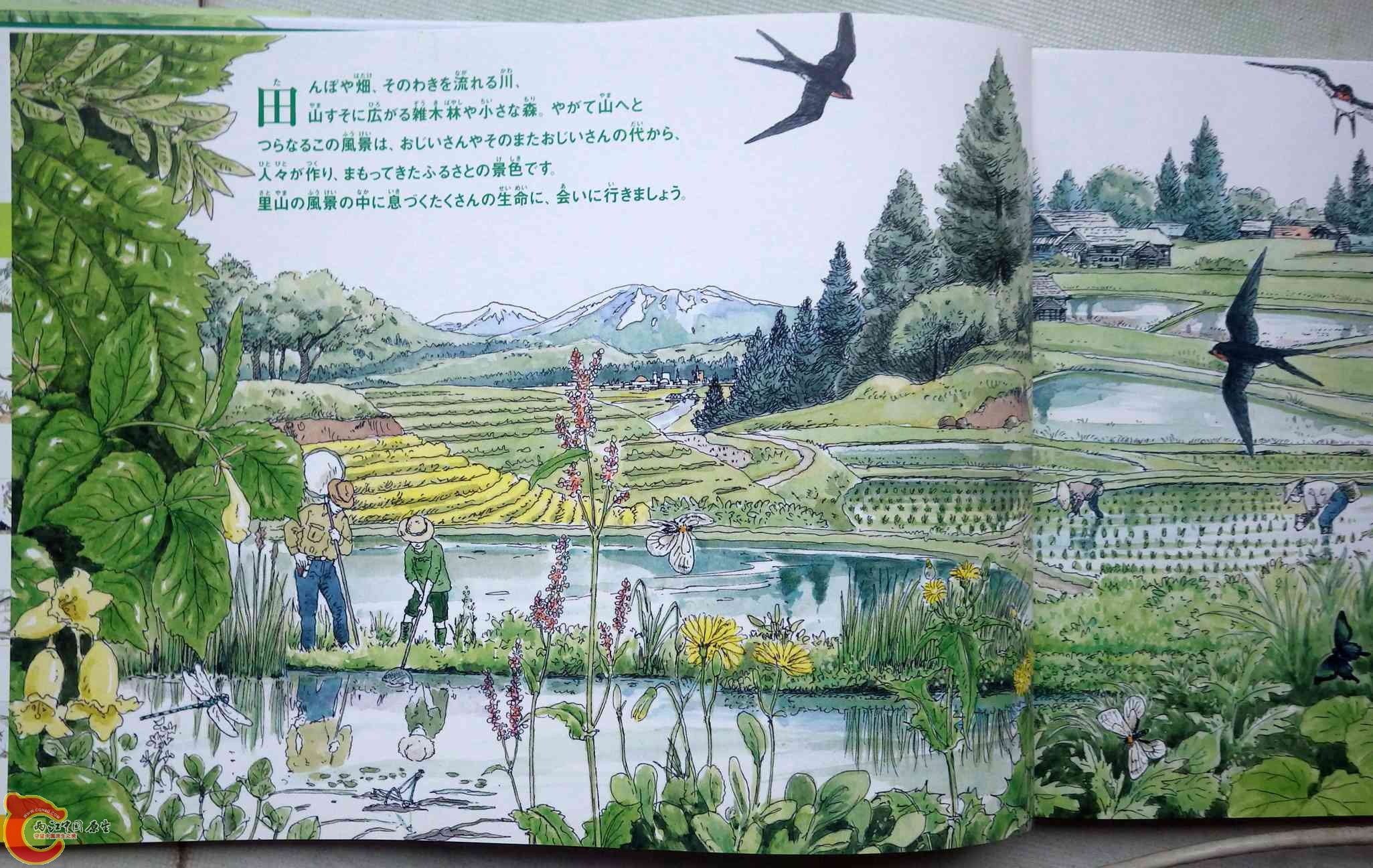 IMGP3019.jpg