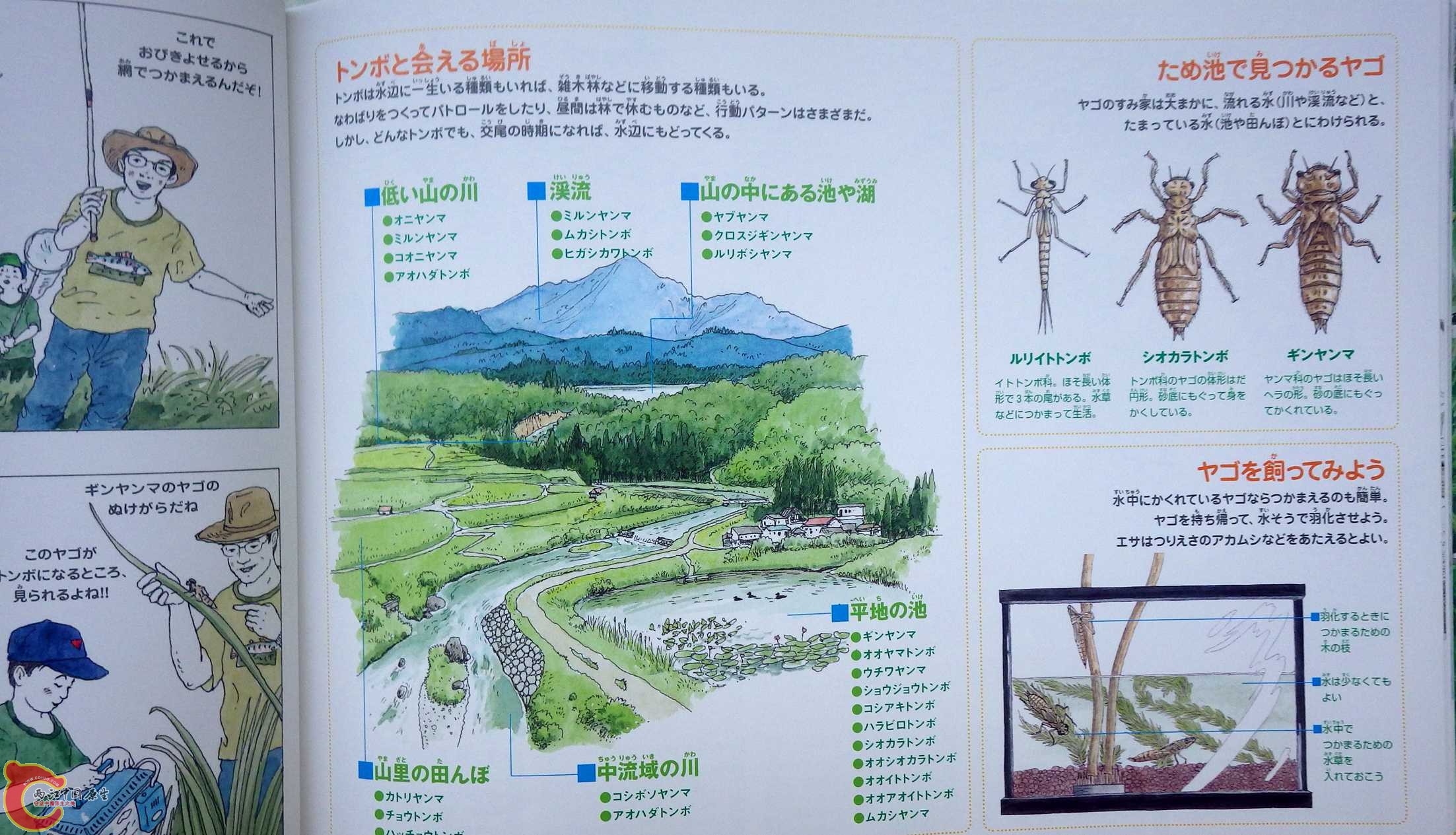 IMGP3048.jpg