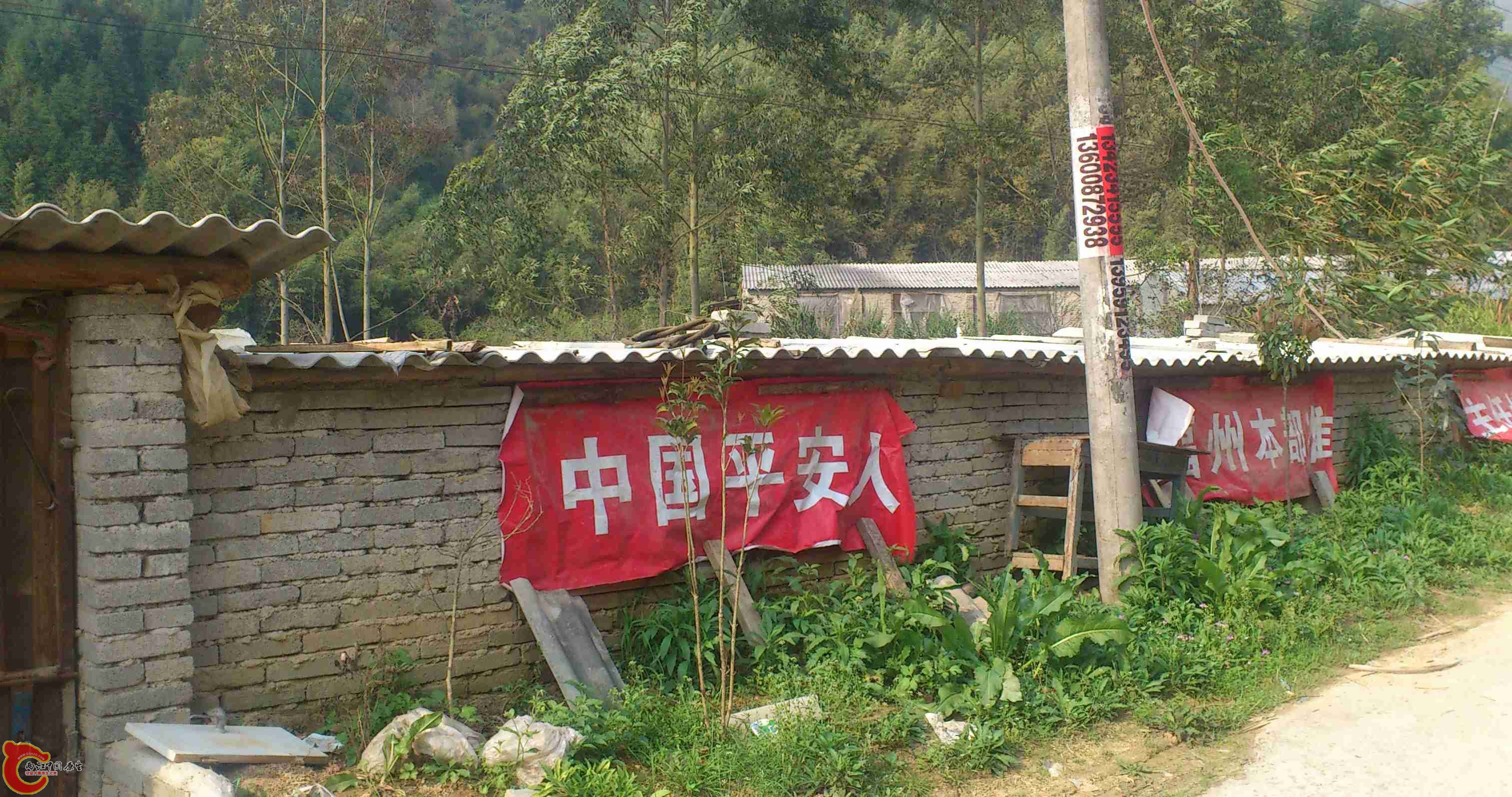 闽侯河流上游养猪2.jpg