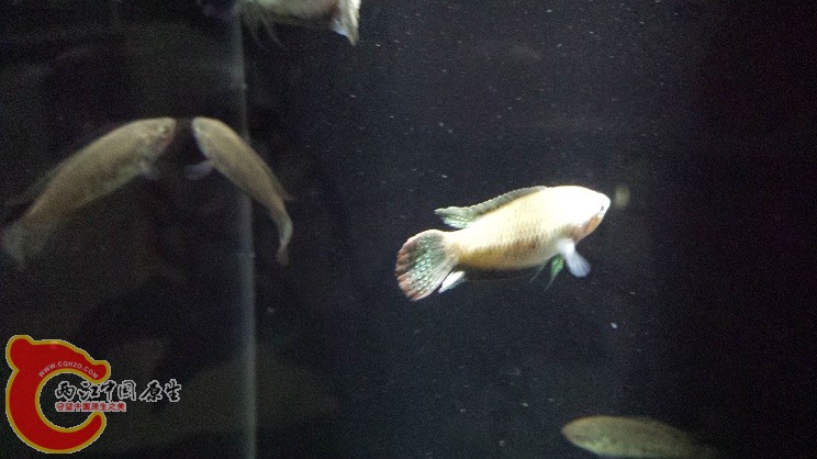 20150126_235645.jpg