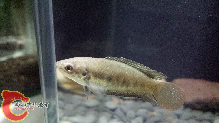 20150126_235313.jpg