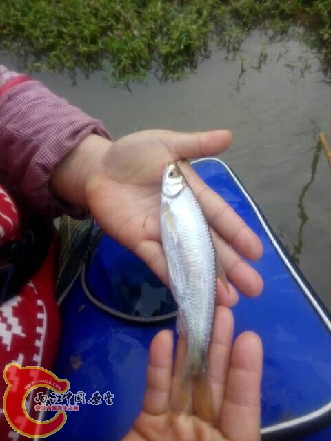QQ图片20150127175548.jpg