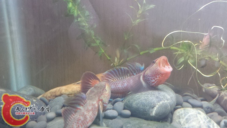 20150113_181919 (2).jpg