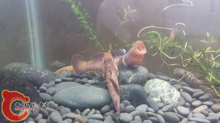 20150113_181926 (2).jpg