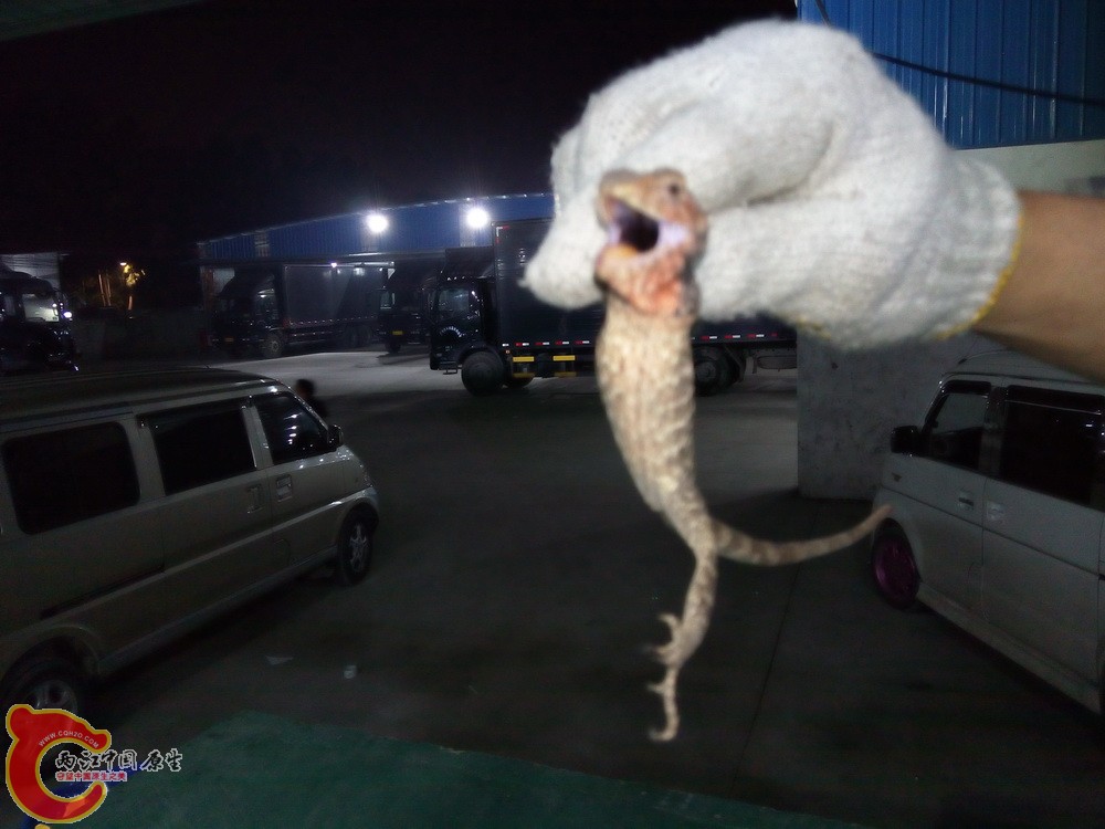IMG_20150127_205604.jpg