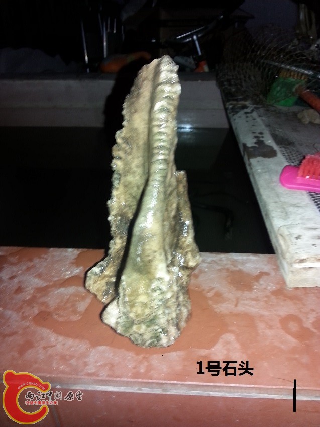 20150127_175758.jpg