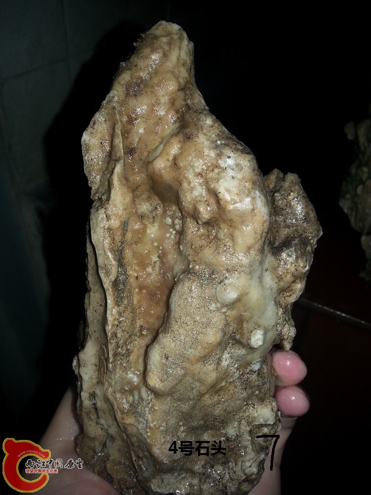 20150127_180006.jpg