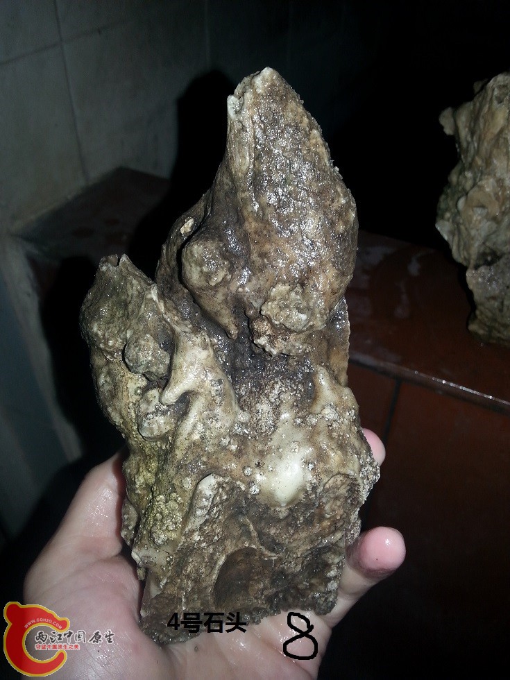 20150127_180013.jpg