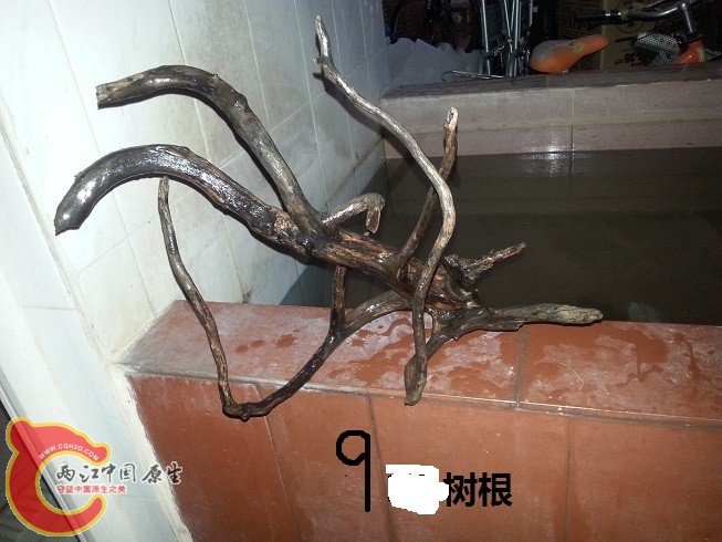 20150127_175430.jpg