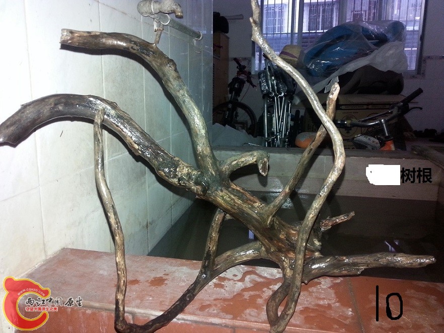 20150127_175502.jpg