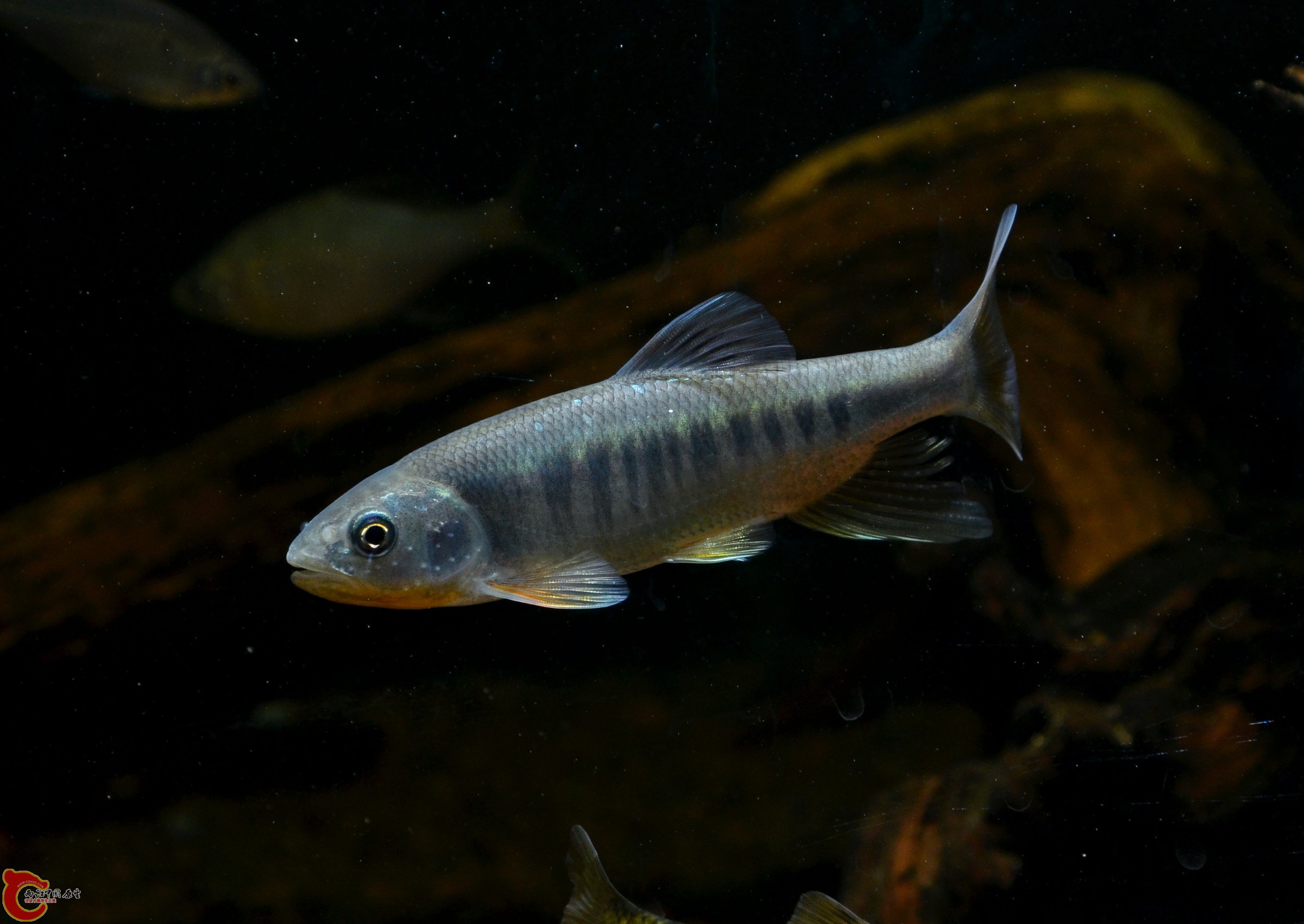 DSC_2862.jpg
