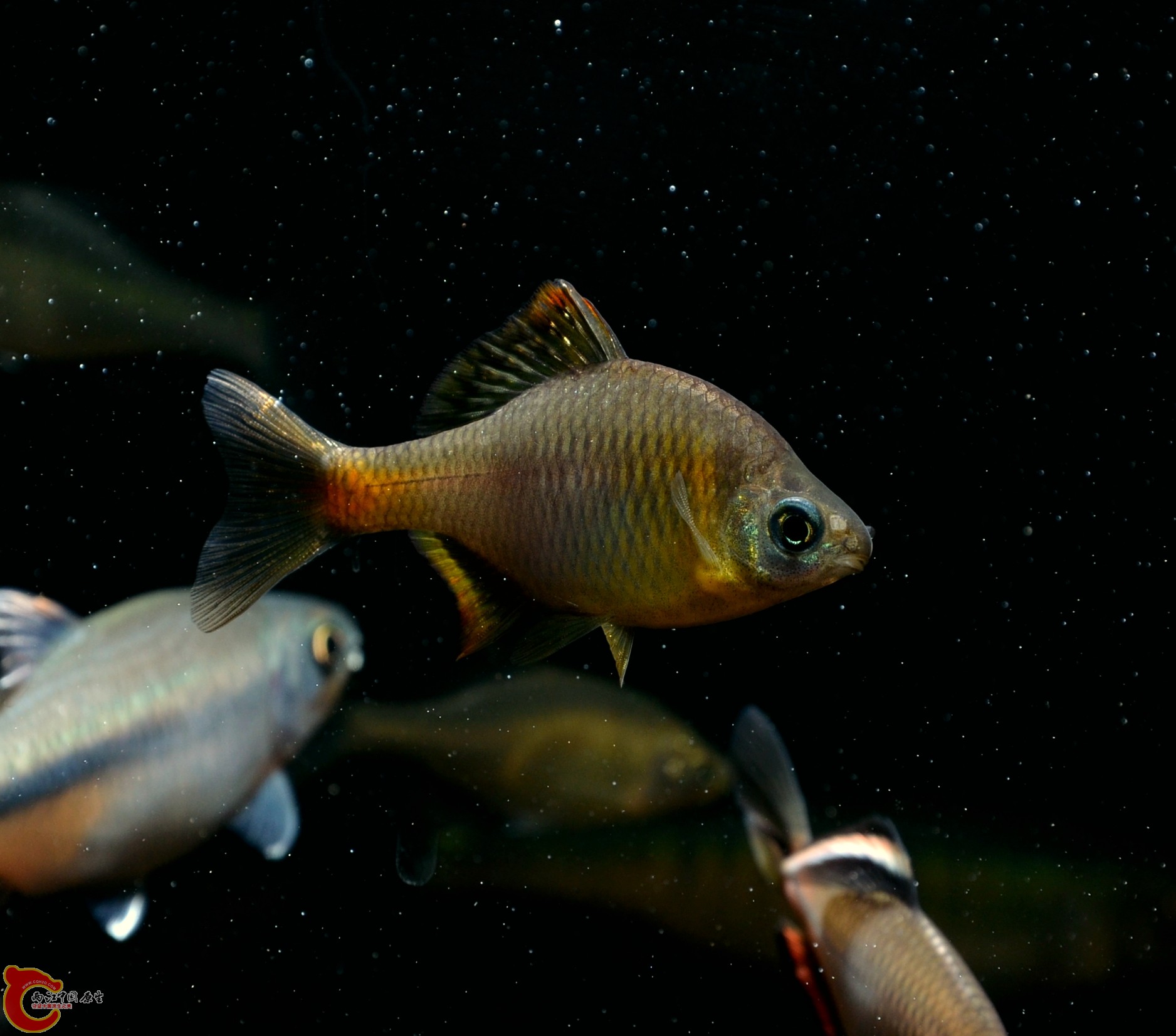 DSC_2836.jpg