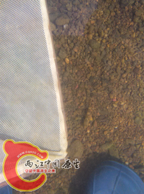 0.png