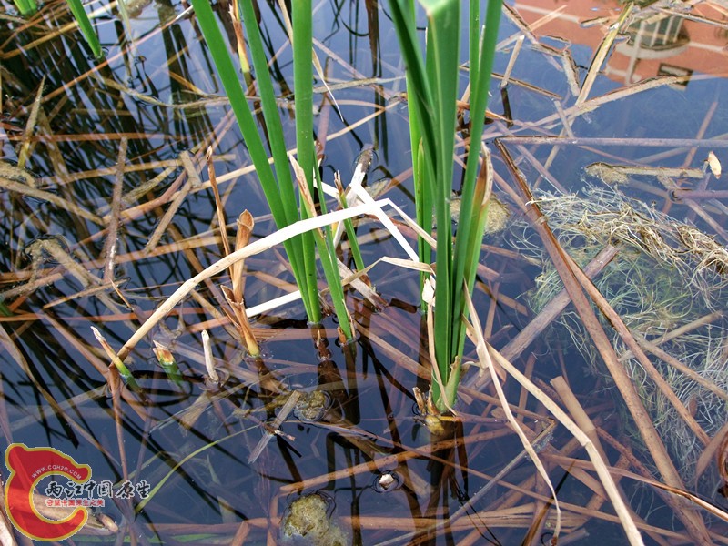 DSCF1140.JPG