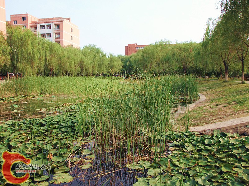 DSCF1145.JPG