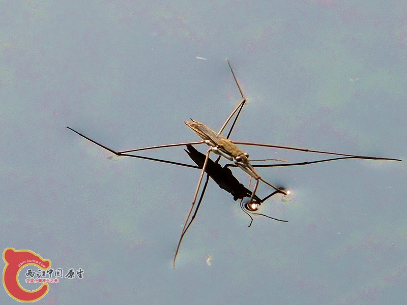 DSCF1160.JPG