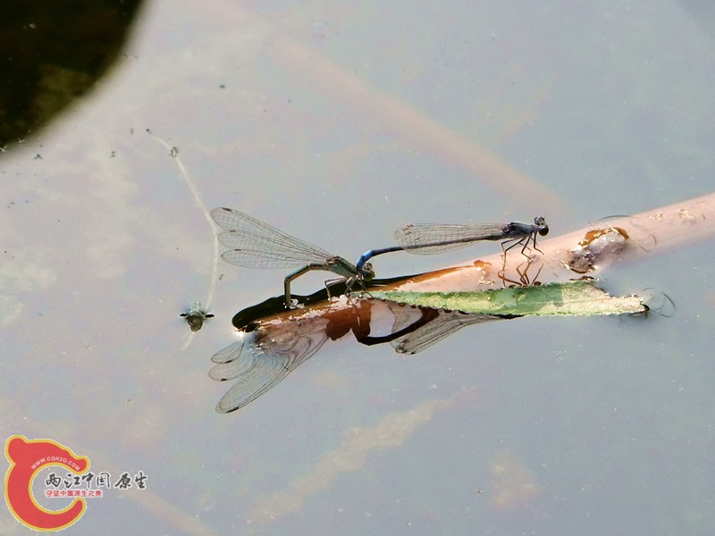 DSCF1168.JPG