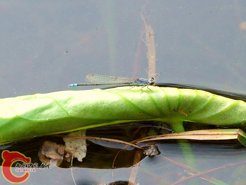 DSCF1171.JPG