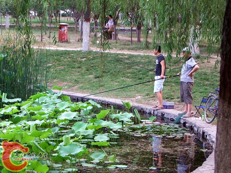 DSCF1220.JPG