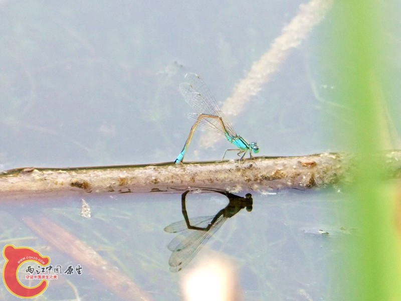 DSCF1227.JPG