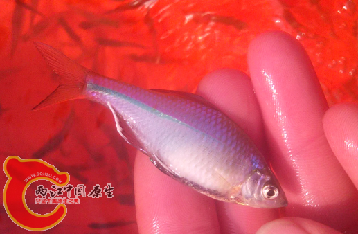 QQ截图20150207164455.png