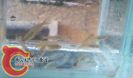 QQ截图20150207164516.png