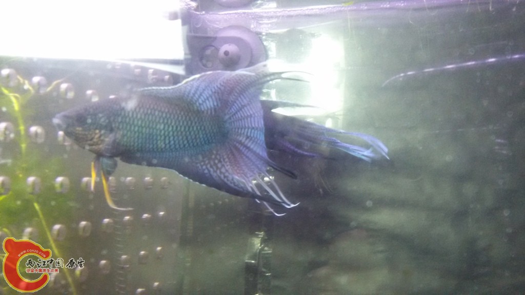 20150213_192621.jpg