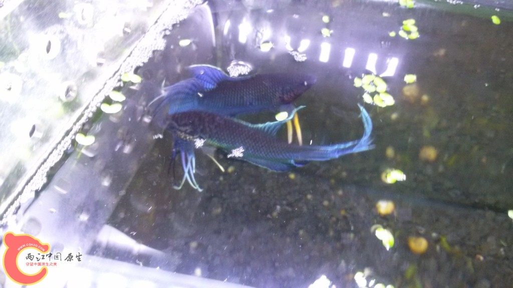 20150213_193019.jpg