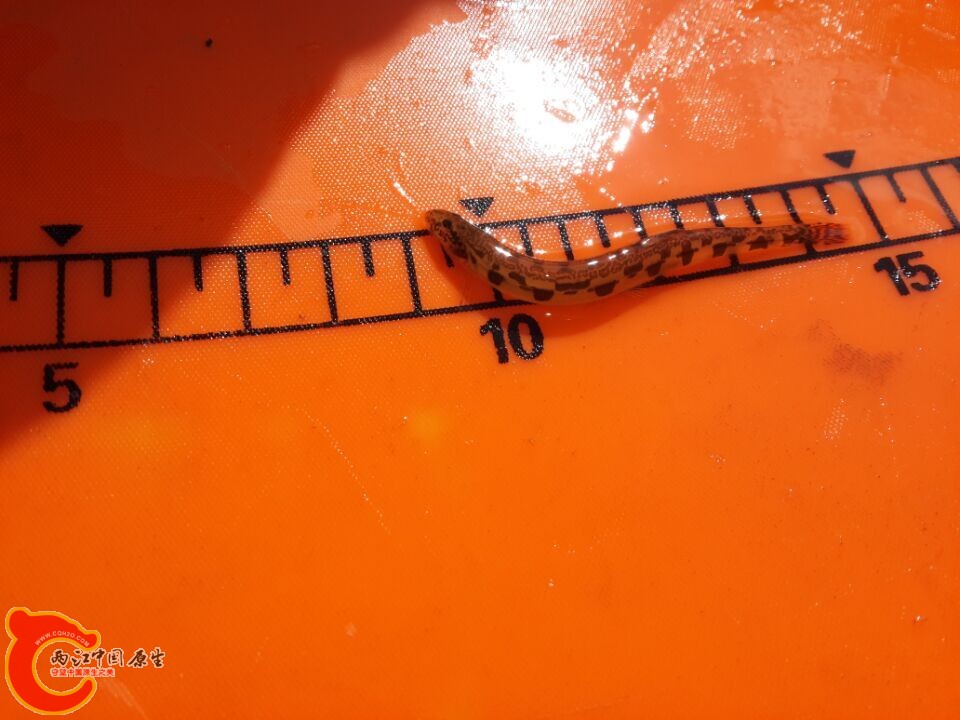 QQ图片20150217231754.jpg