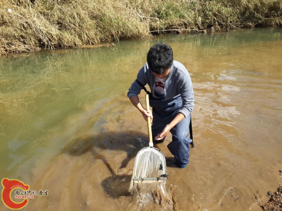 QQ图片20150217231829.jpg