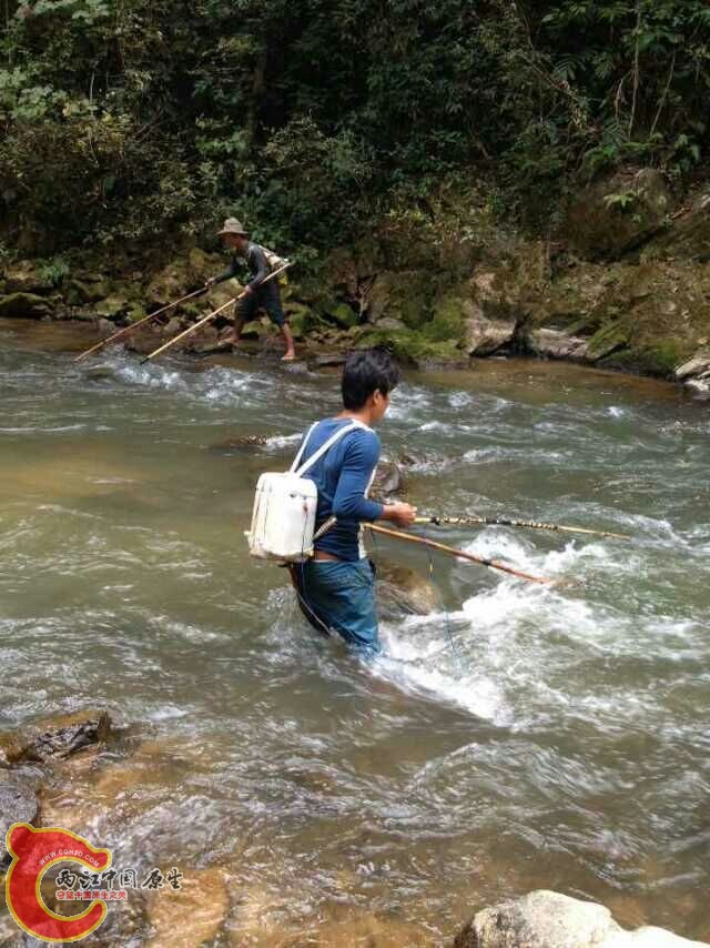 QQ图片20150218003725.jpg