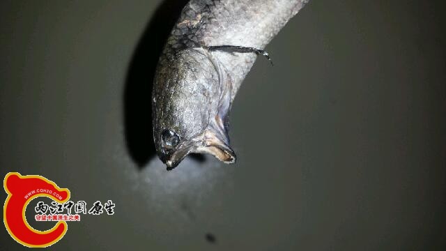 20150126_080723.jpg