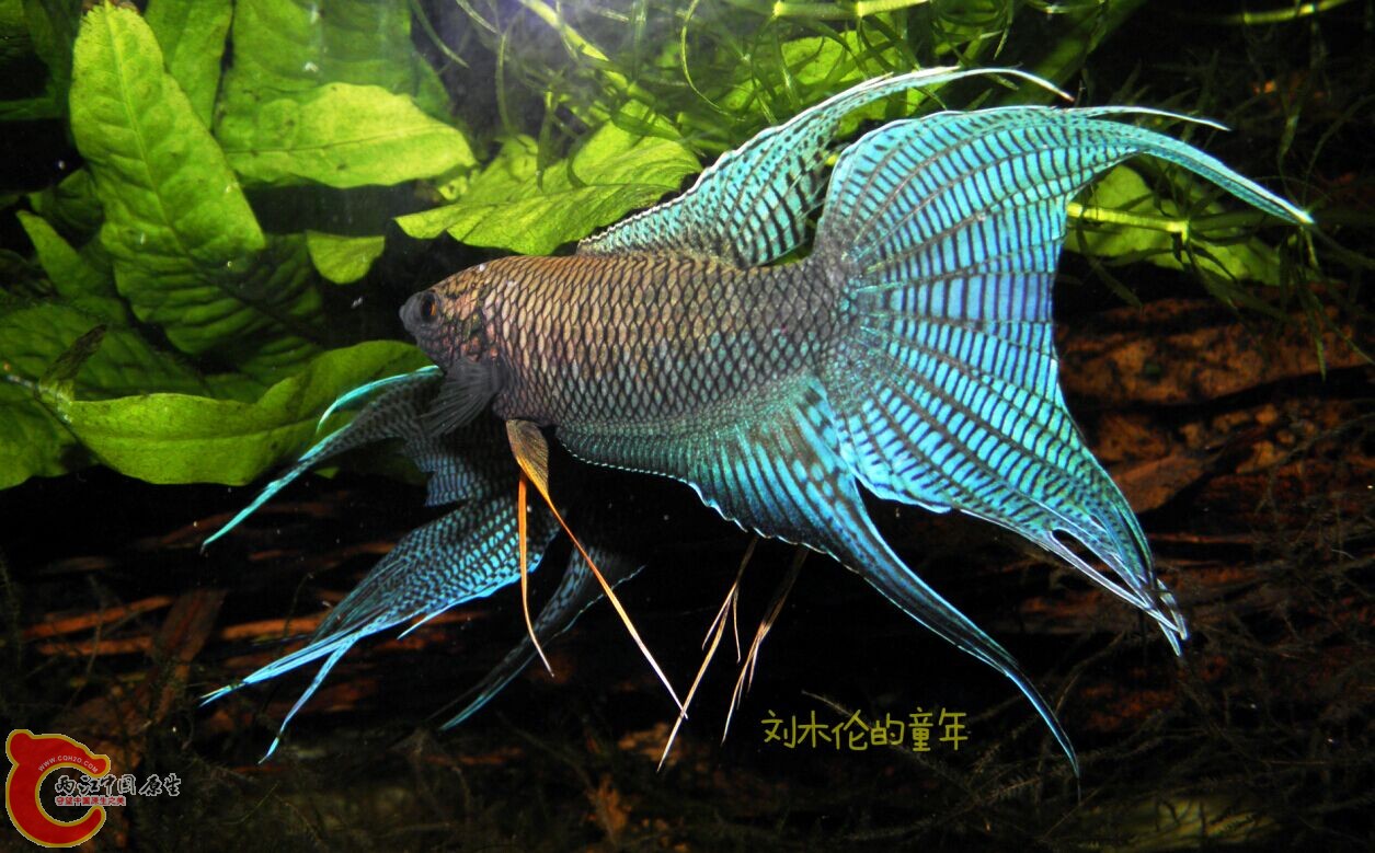 QQ图片20150220193214.jpg