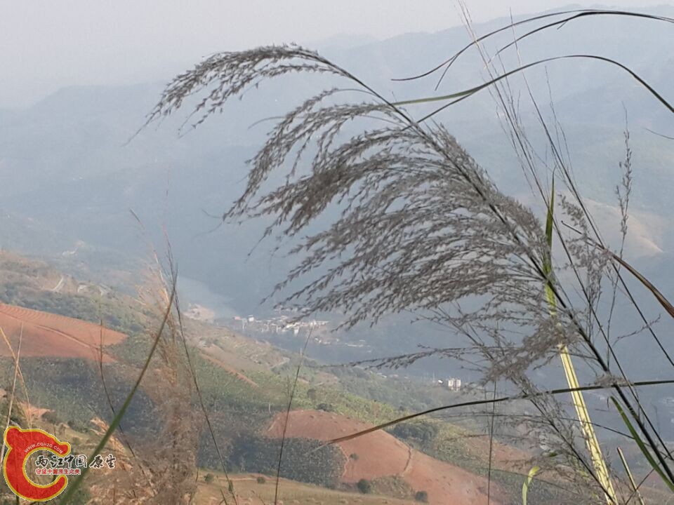 QQ图片20150223114809.jpg