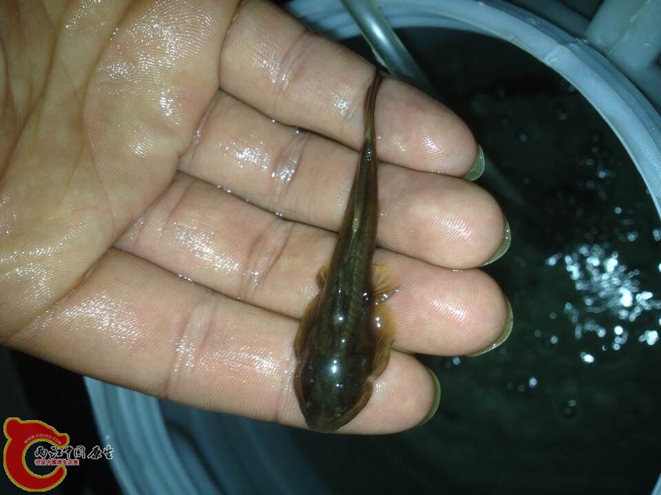 QQ图片20150223114847.jpg
