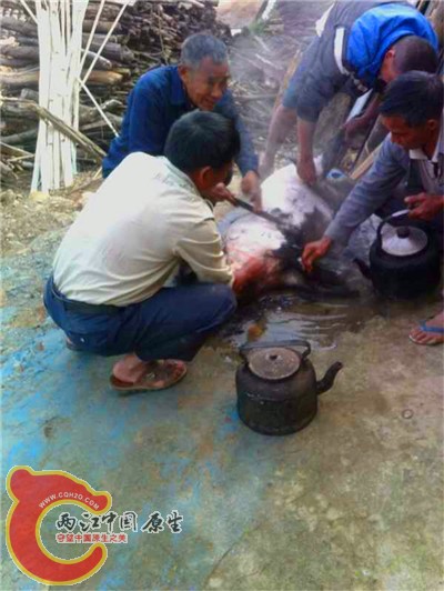 QQ图片20150223174452.jpg
