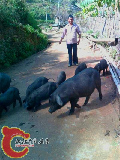 QQ图片20150223174551.jpg