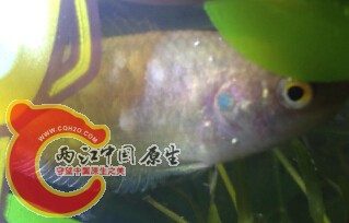 QQ截图20150223205935.jpg