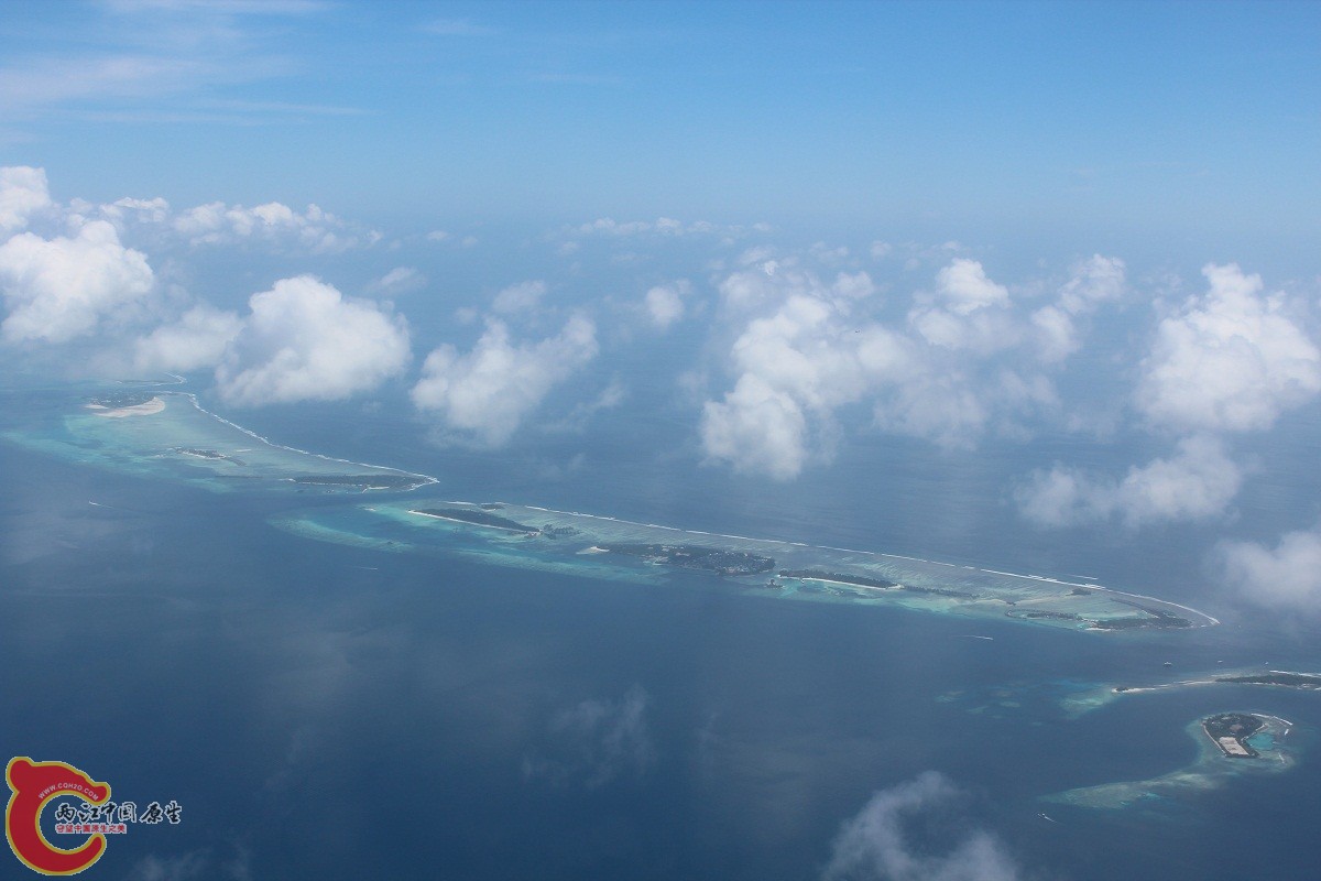IMG_8472.JPG