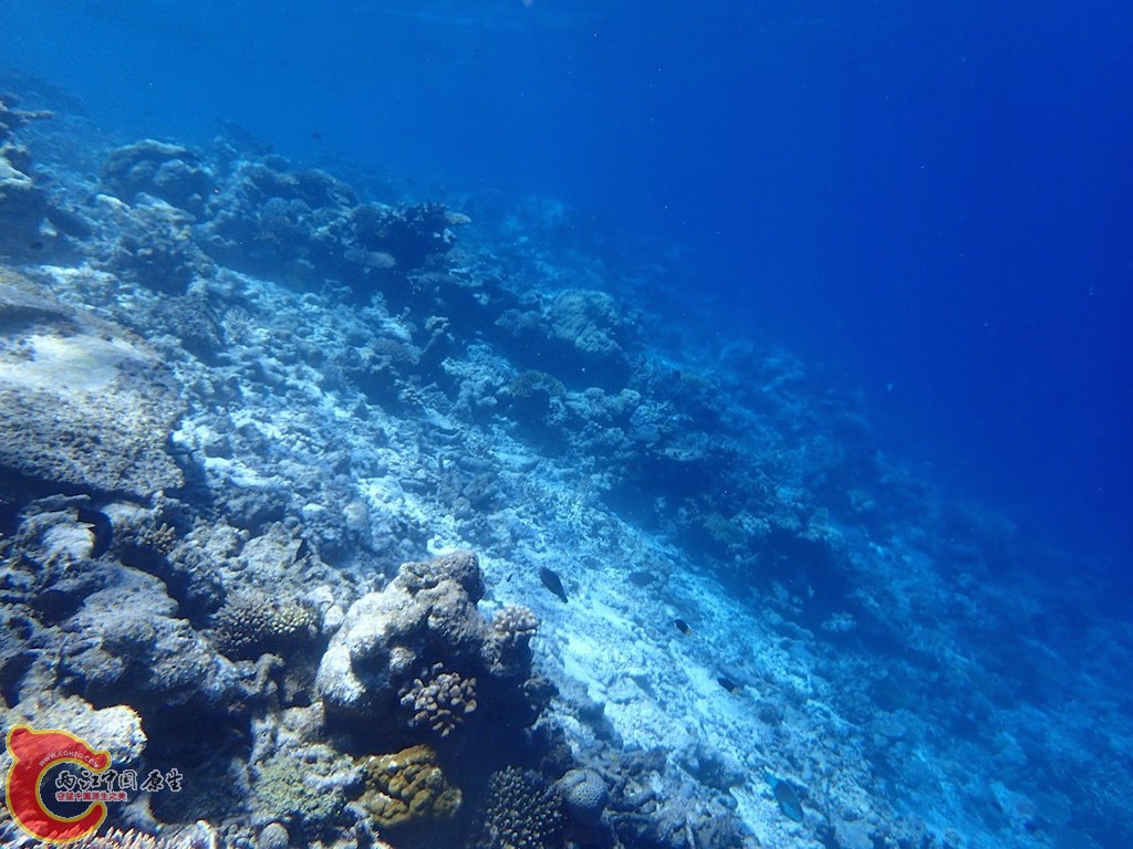 PA270057.JPG