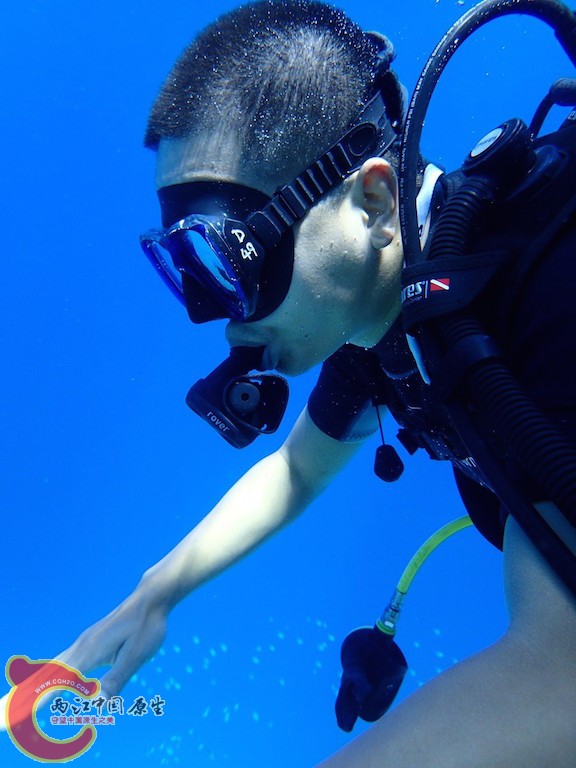 PA270065.JPG