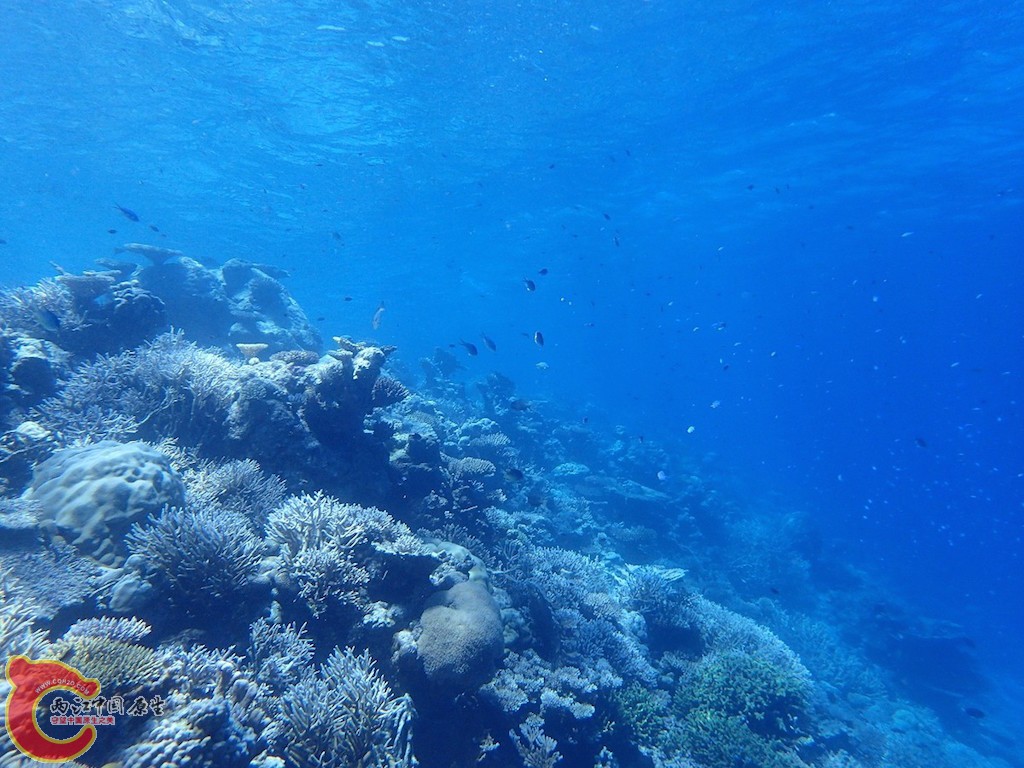 PA270069.JPG