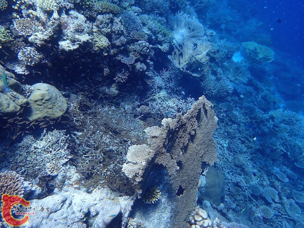 PA270074.JPG